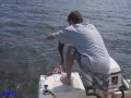 Jim gets a grouper