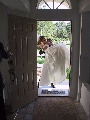 The Threshold